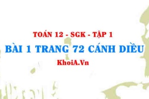 Bài 1 trang 72 Toán 12 tập 1 Cánh Diều